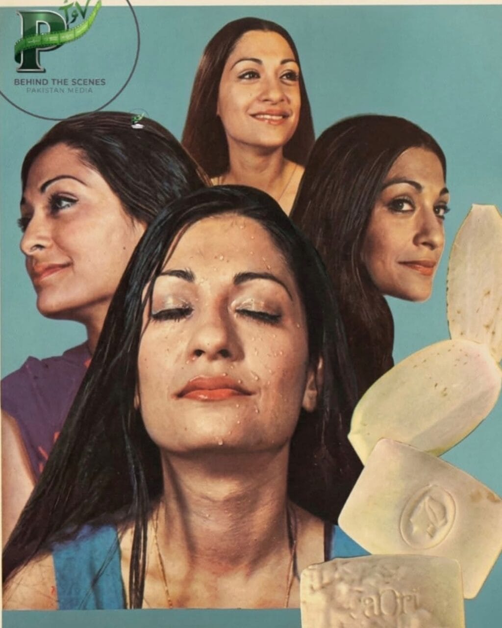 Fans Fall In Love With Samina Ahmed’s Beauty Shoot From 1973
