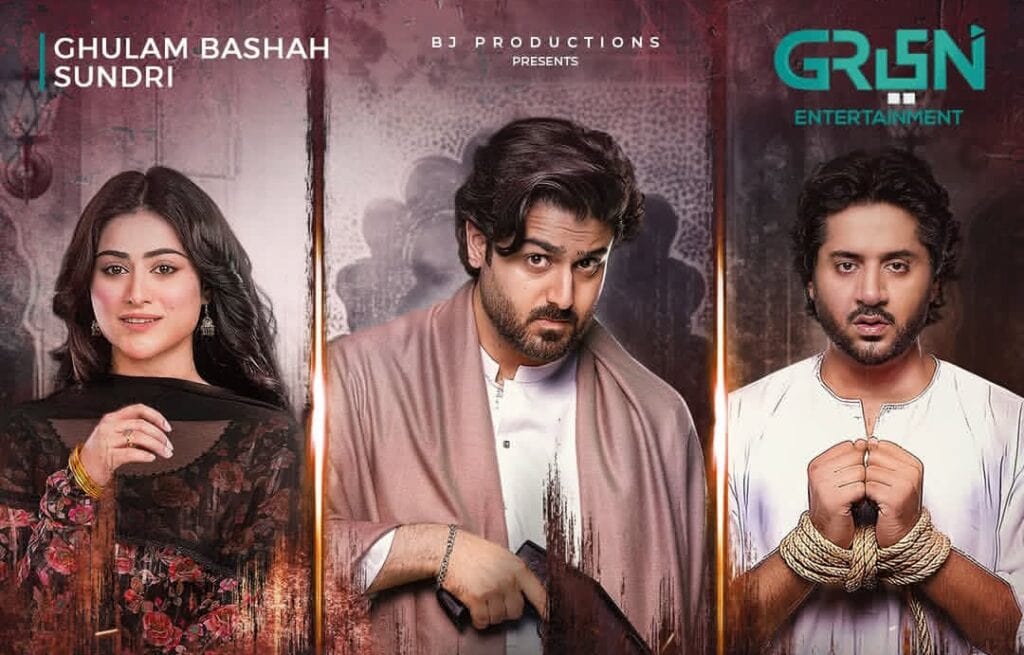 Ghulam Bashah Sundri Cast on Drama's Success Ghulam Basha Sundari Last Episode Public Reaction