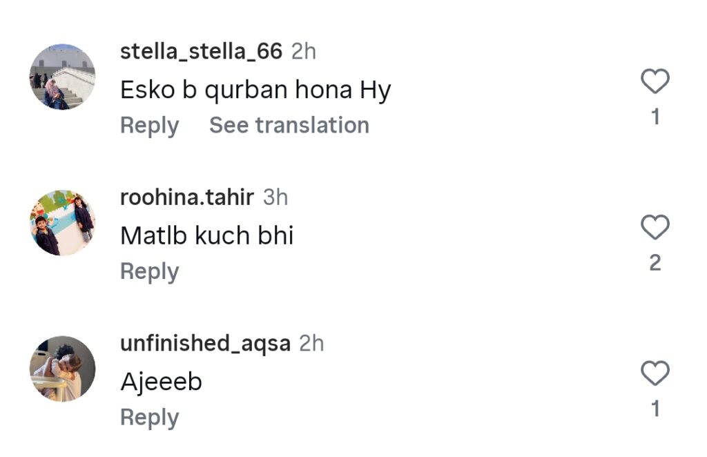 Taana Baana’s Meat Inspired Eid Ul Adha Collection Faces Backlash