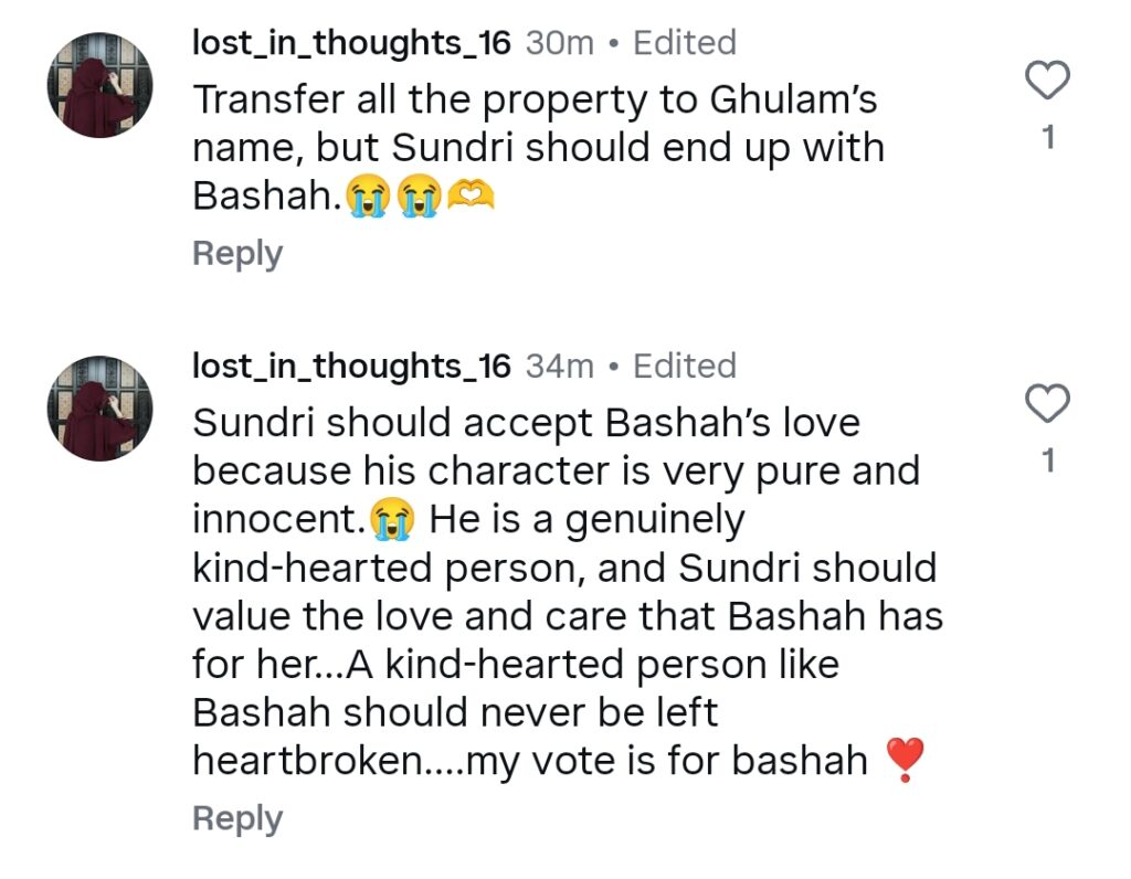 Ghulam Basha Sundari Last Episode – Viewers’ Suggestions