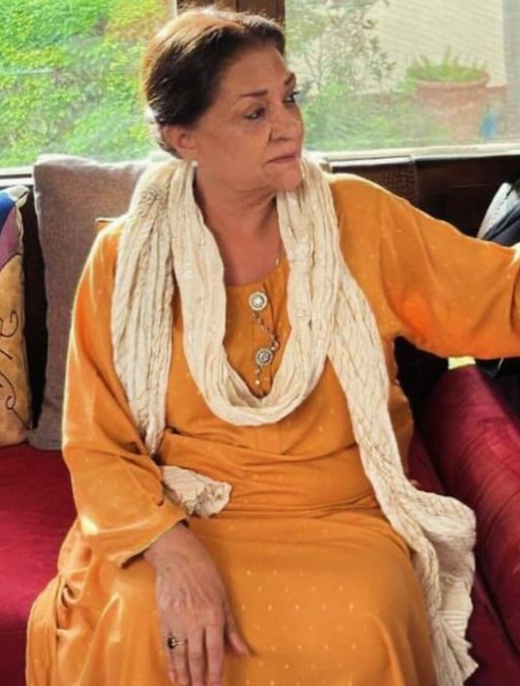 Samina Ahmed Defends Pakistani Drama Stories