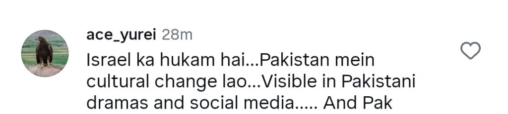 Saheefa Jabbar Khattak’s New Controversial Video Gets Backlash