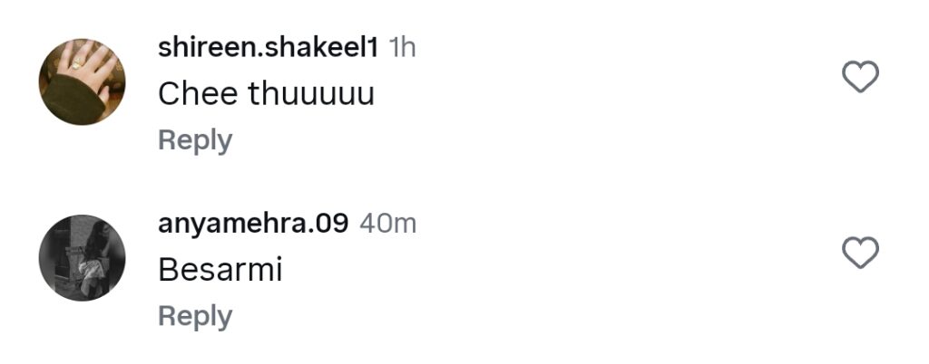 Mehwish Hayat & Fahad Mustafa’s Romantic Moments Get Attention