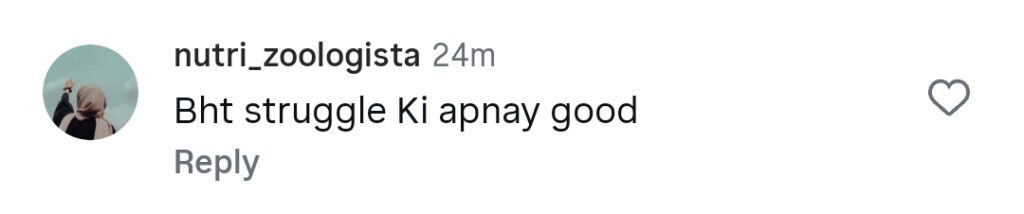 Aymen Saleem Termed Pappa ki Pari After Recent Comments