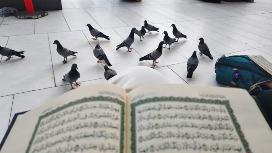Durefishan Saleem Reflects On Her Hajj Journey Durefishan Saleem Reflects On Her Hajj Journey