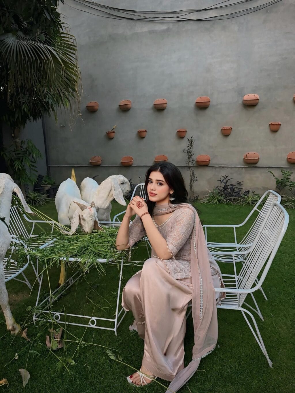 Pakistani Celebrities Eid Ul Adha 2026 - Day 1 Pakistani Celebrities Eid Ul Adha 2026 – Day 1