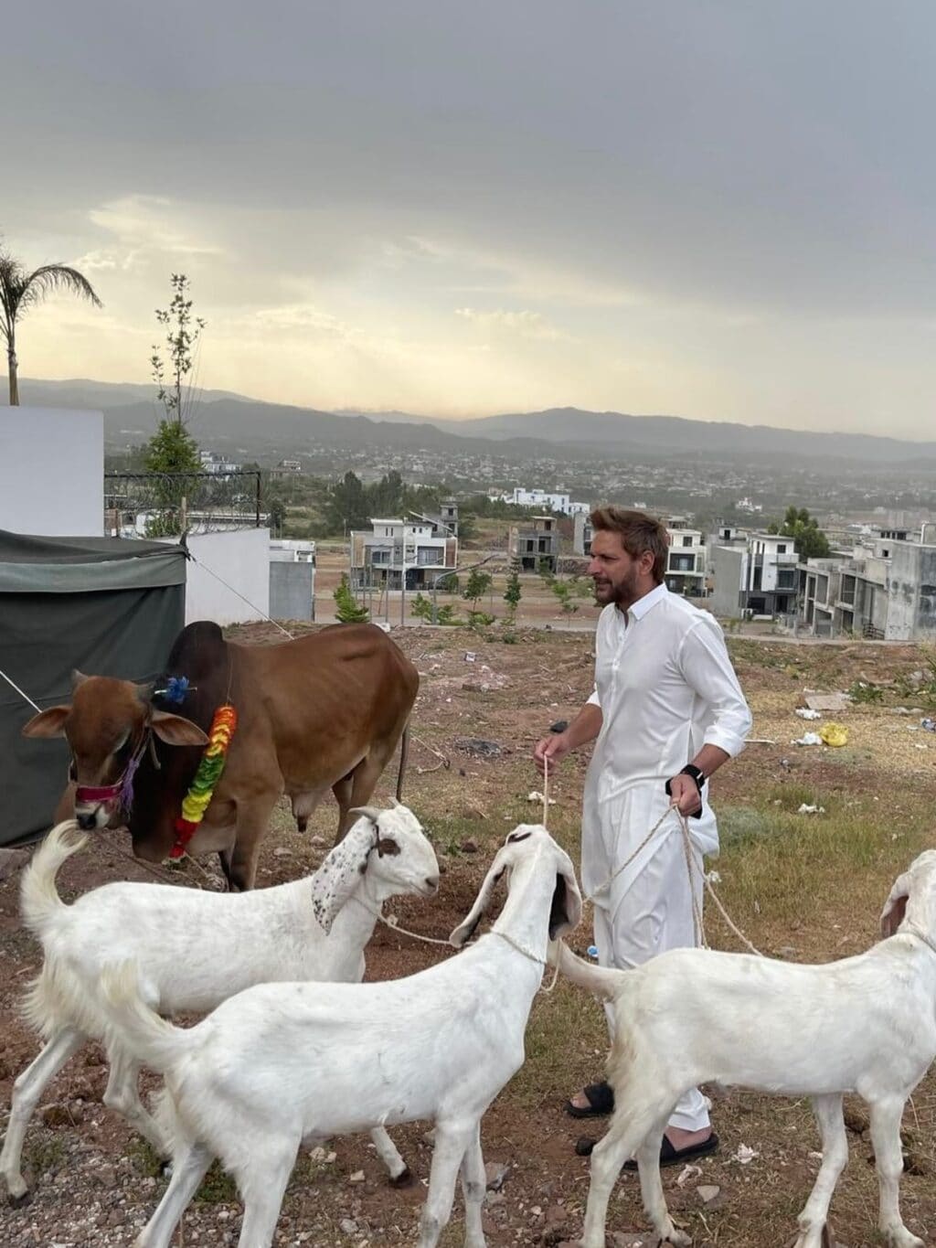 Pakistani Celebrities Eid Ul Adha 2026 - Day 1 Pakistani Celebrities Eid Ul Adha 2026 – Day 1