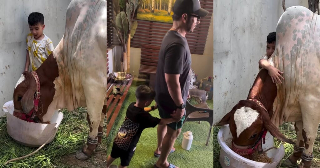 Faysal Quraishi Reveals Son Farmaan's Trauma Faysal Quraishi Reveals Son Farmaan’s Trauma