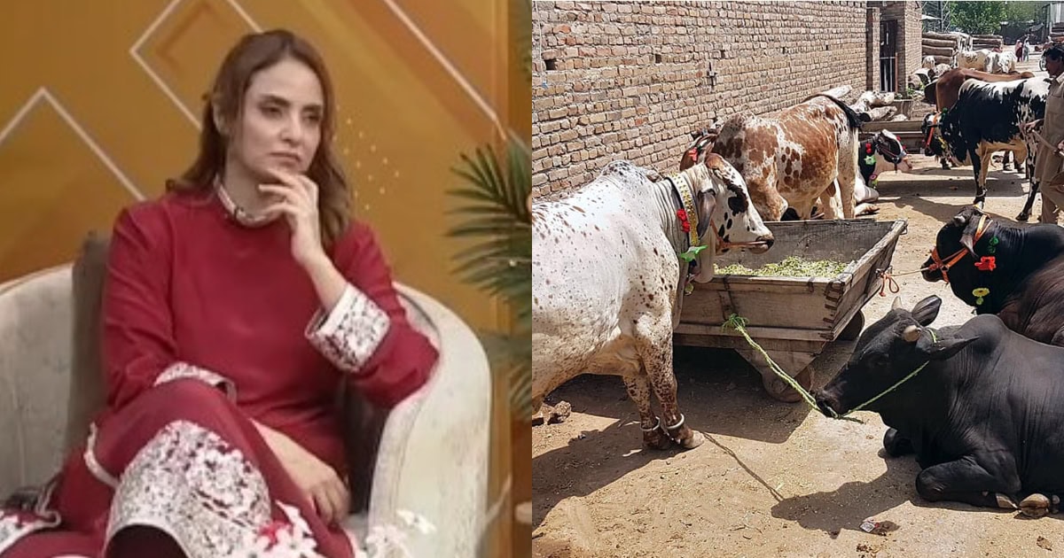 Nadia Khan’s Statement On Qurbani Elicits Debate Nadia Khan’s Statement On Qurbani Elicits Debate
