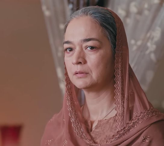 Zanjeerein Episode 7 – Sherdil & Sarbuland Steal Limelight