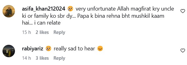 Brave Pakistani Man Loses Life Just Before Family Reunion