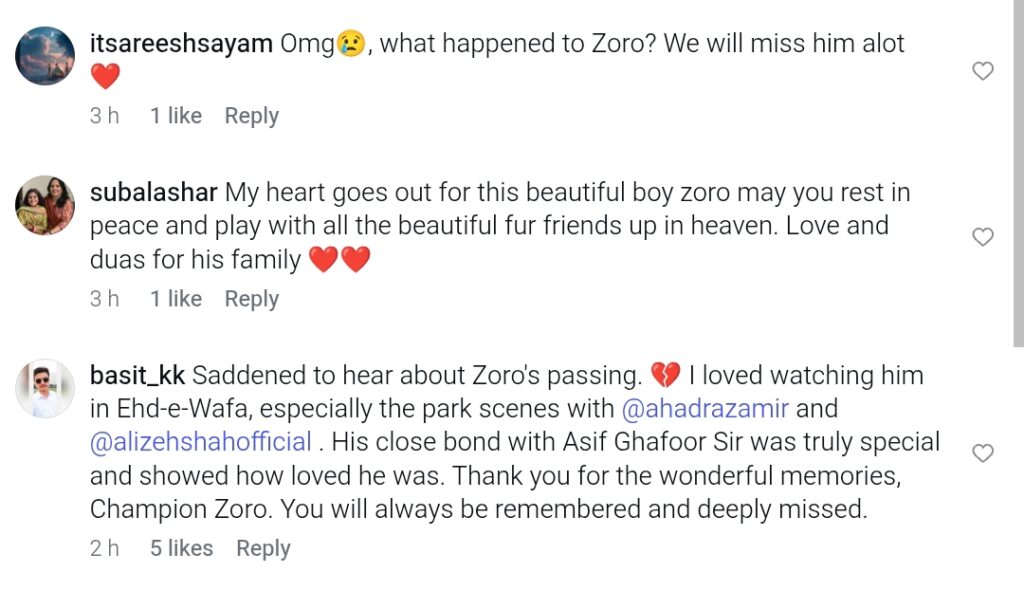 Ehd e Wafa Beloved Cast Member Passes Away
