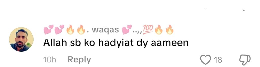 Rajab Butt’s Detailed Zanjeer Zani Vlog Gets Backlash