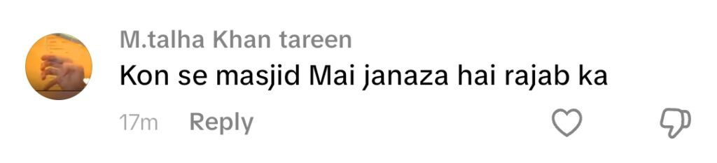 Rajab Butt’s Detailed Zanjeer Zani Vlog Gets Backlash