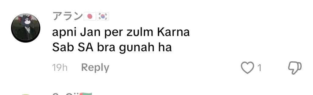 Rajab Butt’s Detailed Zanjeer Zani Vlog Gets Backlash