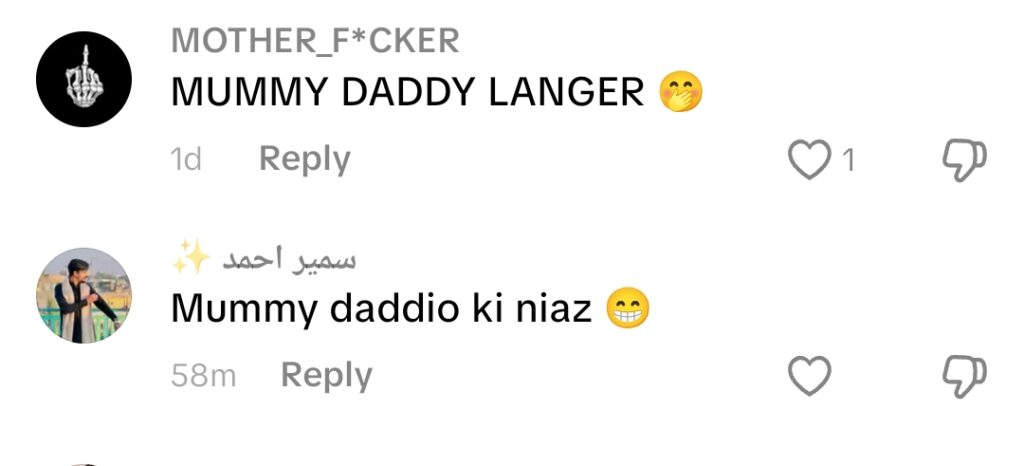 Niaz or Marketing? Rajab Butt Faces Intense Criticism