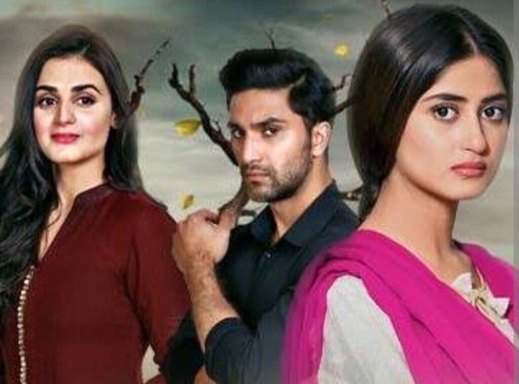 Sajal Aly’s Househelp Chooses Between Zanjeerain & Yaqeen Ka Safar