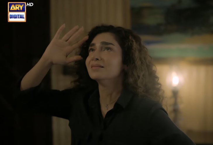 Hajra Yamin’s Special Message For Dr. Bahu Fans