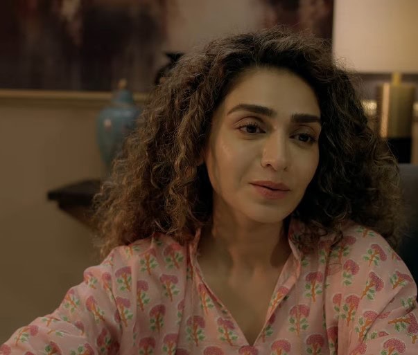 Mehreen Jabbar On Why Faizan Cheated On Minna In Dr Bahu