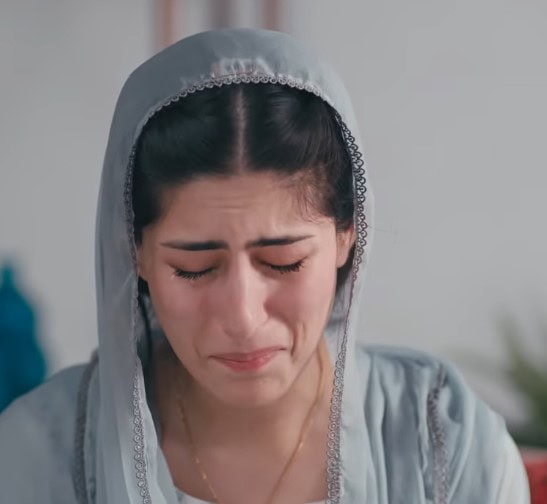 Who Is Shahnoor Bhabi From Zanjeerein