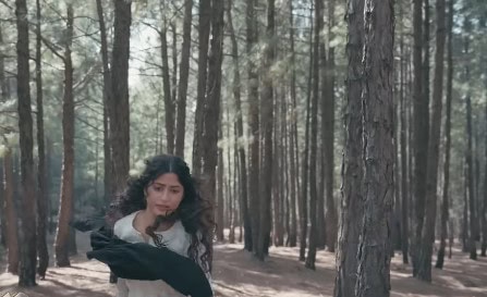 Zanjeerein Episode 18 – Why It Did Not Air