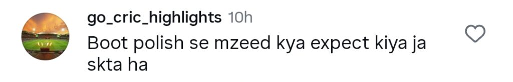 Shahid Afridi Under Fire for Shoving Fan Shahid Afridi Under Fire for Shoving Fan