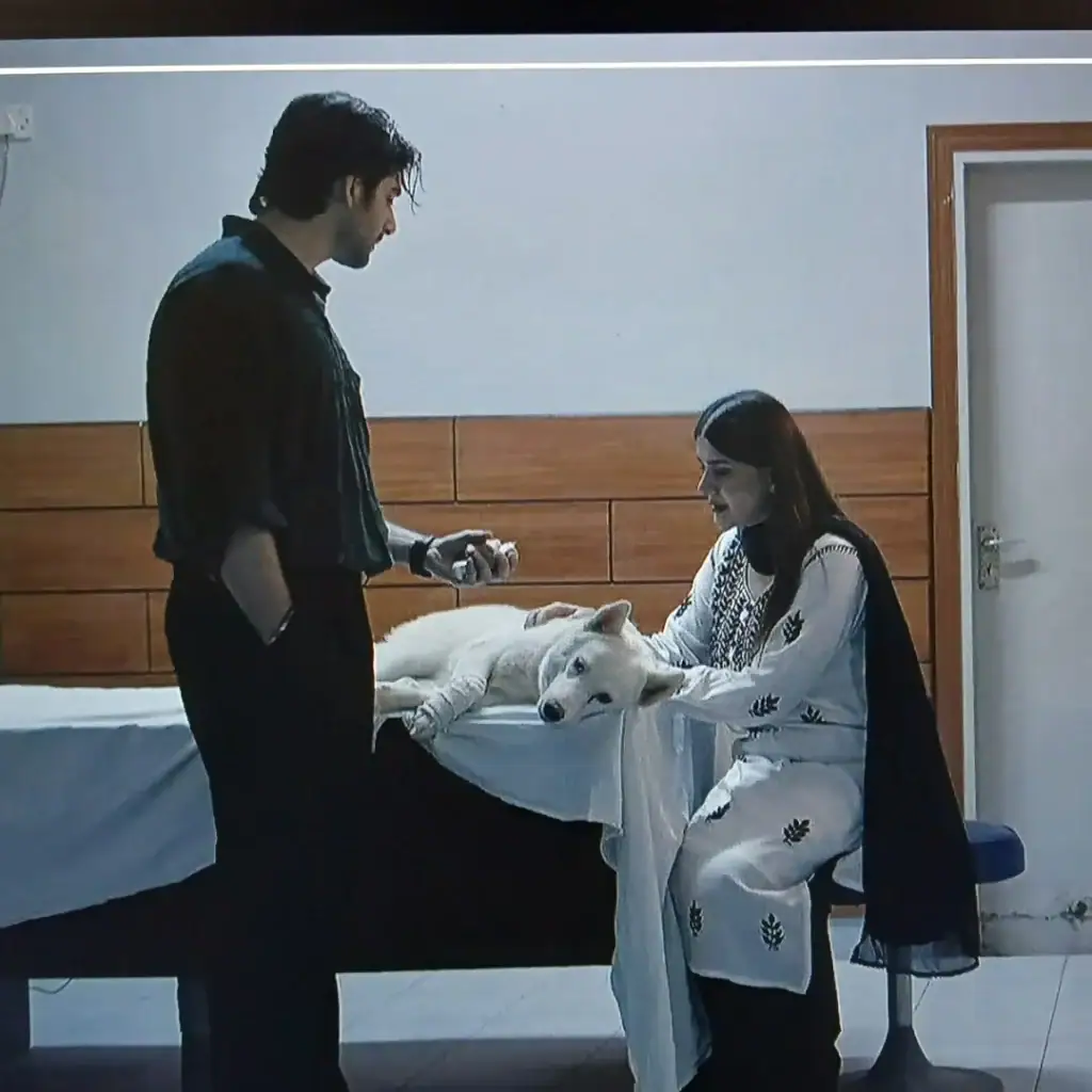 Mehreen Jabbar Shares Doctor Bahu BTS With Farewell Message