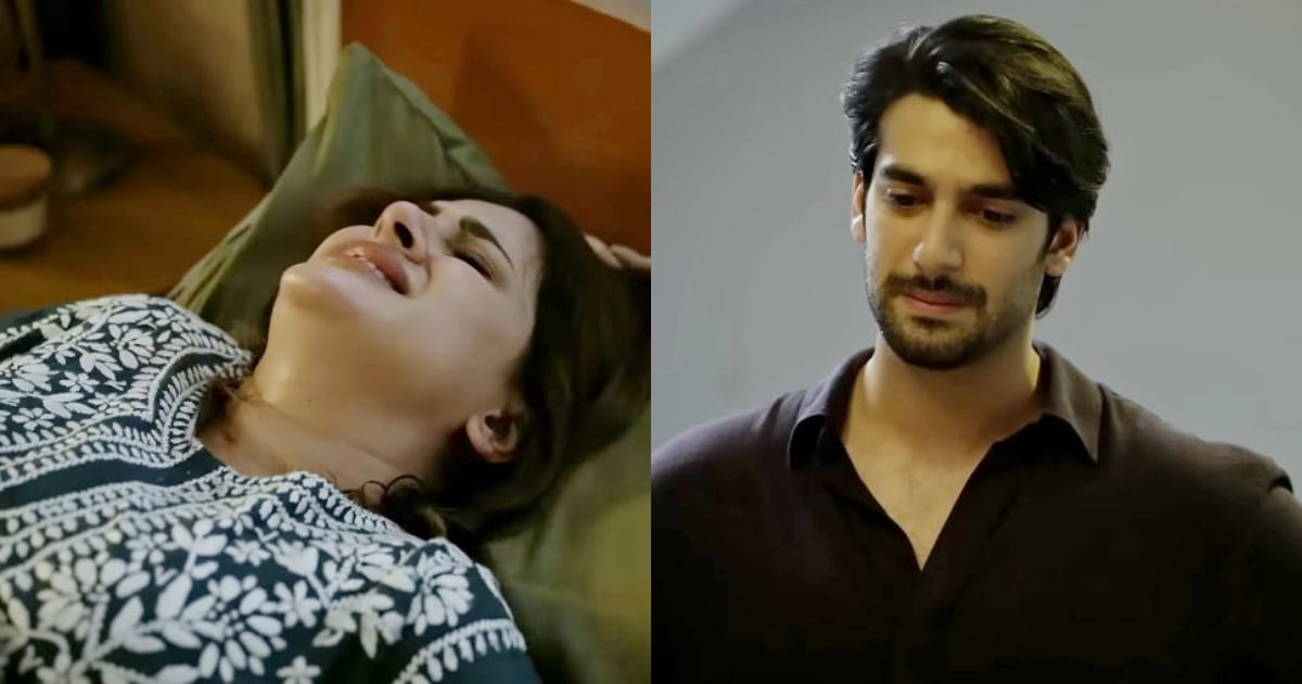 Doctor Bahu Second Last Episode – Shuja Represents Majority Husbands