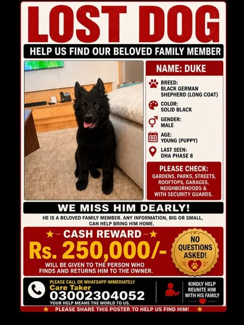Wasim Akram's 2.5 Lakh Reward For Lost Pet Gets Public Attention Shaniera Akram Spends Lakhs On Her Dog