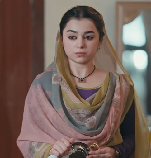 Zanjeerain Episode 22 – Rabiya & Sarbuland Chemistry Starts Debate