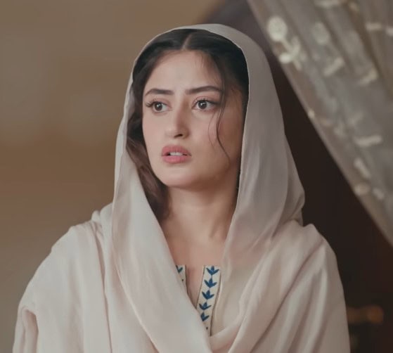 Zanjeerain Episode 22 – Rabiya & Sarbuland Chemistry Starts Debate