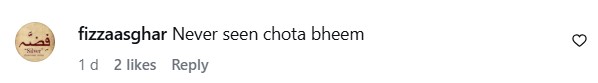 Danyal Zafar Addresses Chota Bheem Reference In Zanjeerain Danyal Zafar Addresses Chota Bheem Reference In Zanjeerain