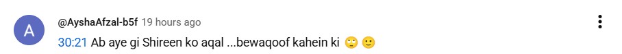 Zanjeerain Episode 31 – Karma Hits Shireen Hard