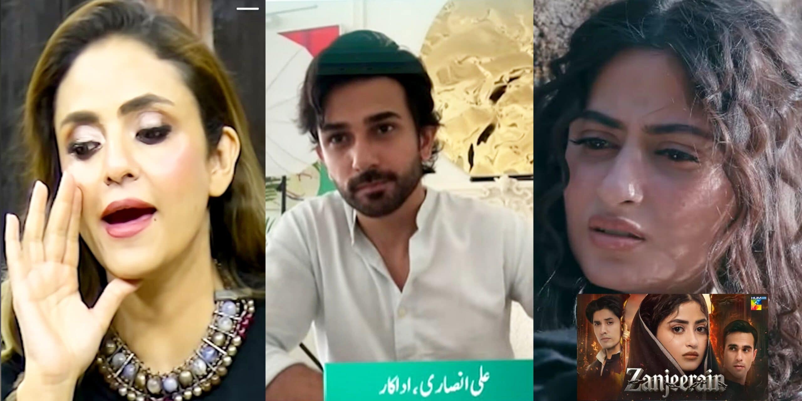 Ali Ansari Defends Nadia Khan’s Trolling of Zanjeerain