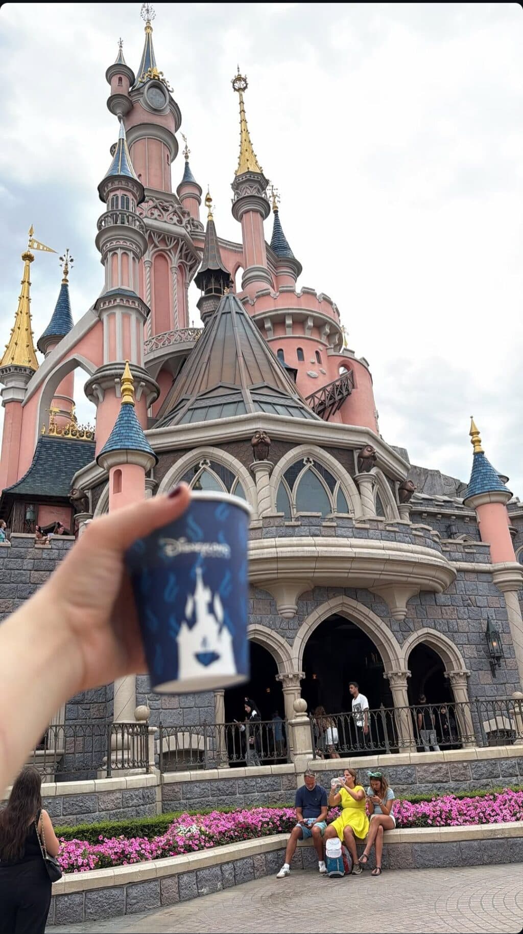 Minal Khan & Family Create Sweet Memories at Disneyland Paris
