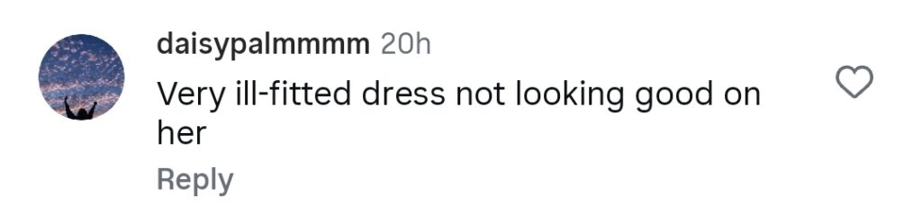 Sahar Hashmi’s Ill Fitted Dress At An Event Gets Attention