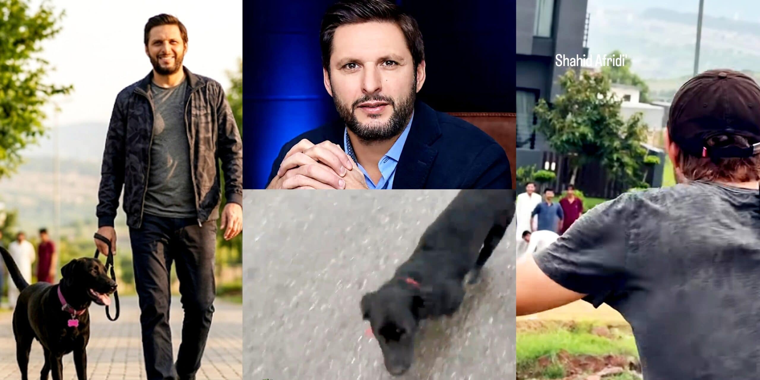 Shahid Afridi’s Missing Dog Sparks Online Debate
