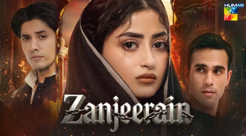 Ali Ansari Defends Nadia Khan’s Trolling of Zanjeerain