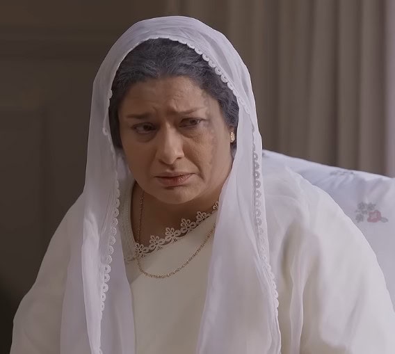 Aap Ki Izzat Episode 9 – Family’s Disregard For Beena’s Safety Questioned