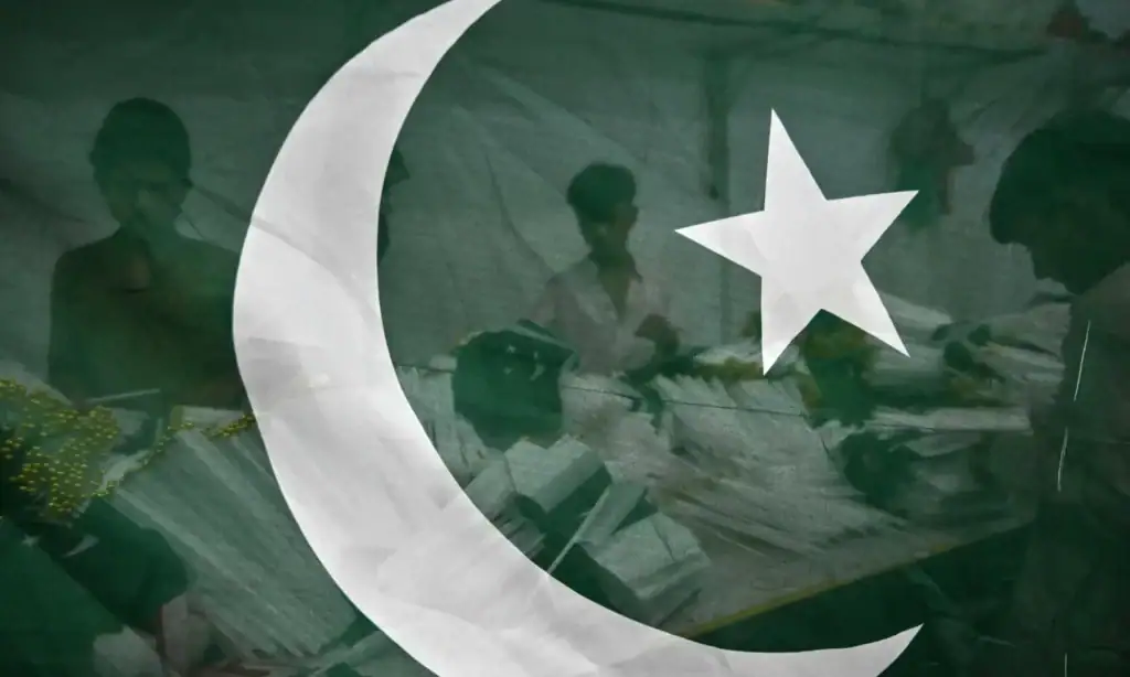 Pakistani Celebrities Disheartened Messages This Independence Day Pakistani Celebrities Disheartened Messages This Independence Day