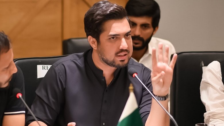 Pakistani Celebrities Who Lost Credibility By Criticising Other Stars