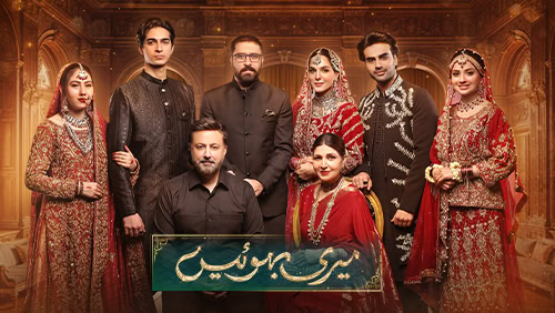 Mehrunisa Iqbal On Mistreatment By A Senior Actress Auto Draft