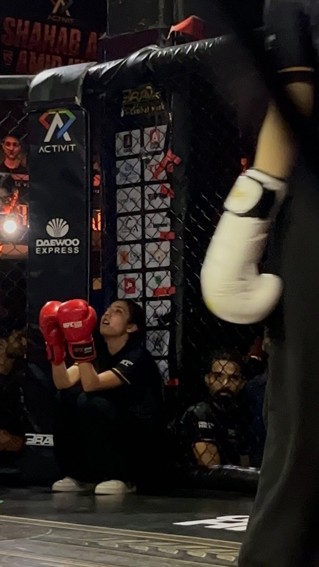Internet Reacts To Sistrology's Zainab Faisal's Boxing Auto Draft