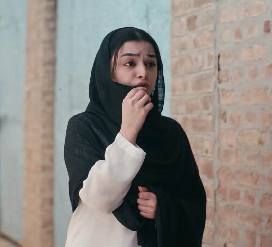 Zanjeerain Episode 31 – Karma Hits Shireen Hard