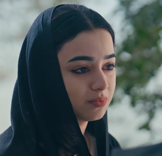 Zanjeerain Episode 31 – Karma Hits Shireen Hard