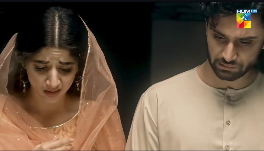Hum TV To Re Air Its Grand Period Drama Aangan Hum TV To Re Air Its Grand Period Drama Aangan