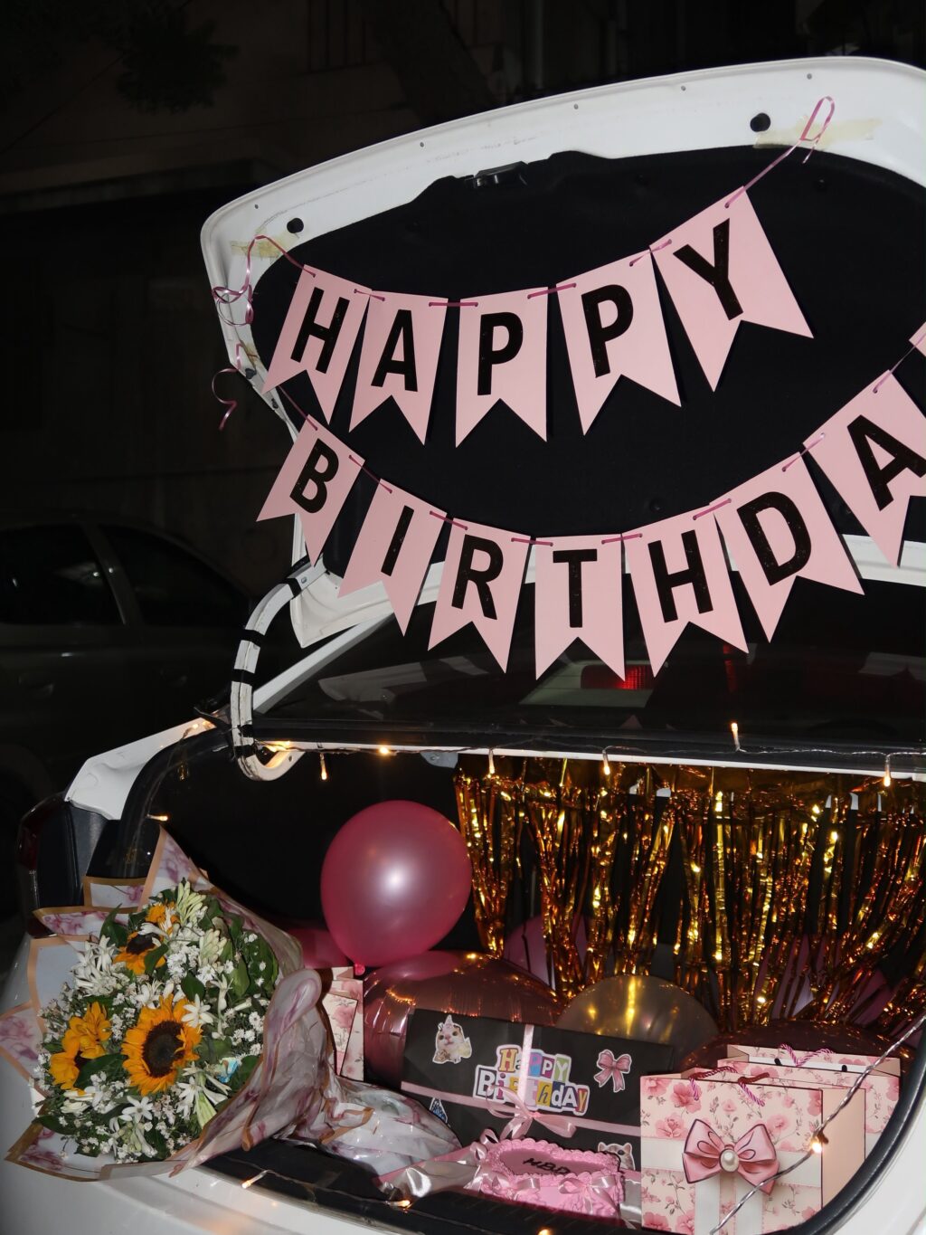 Aina Asif 18th Birthday Celebration Pictures Aina Asif 18th Birthday Celebration Pictures