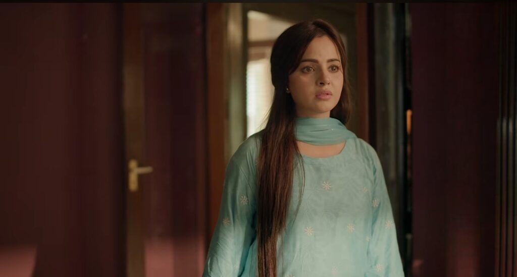 Gulbahar Cast Schedule & Timings
