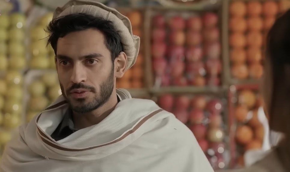 Saife Hassan Shared The Logic Behind Beena Running With Sabzi Wala