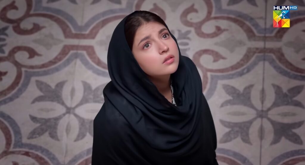Dananeer Mobeen Upcoming Drama Teaser Dananeer Mobeen Upcoming Drama Teaser